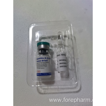 Hepatitis A Live Freeze-Dried Vaccine for Immune Protection